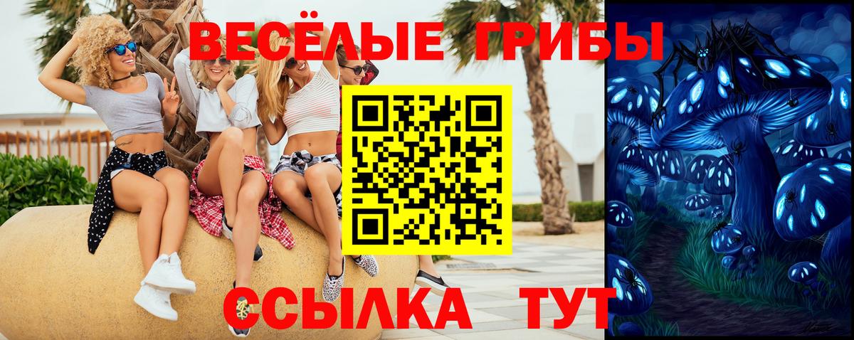 Псилоцибиновые грибы Psilocybe Владивосток