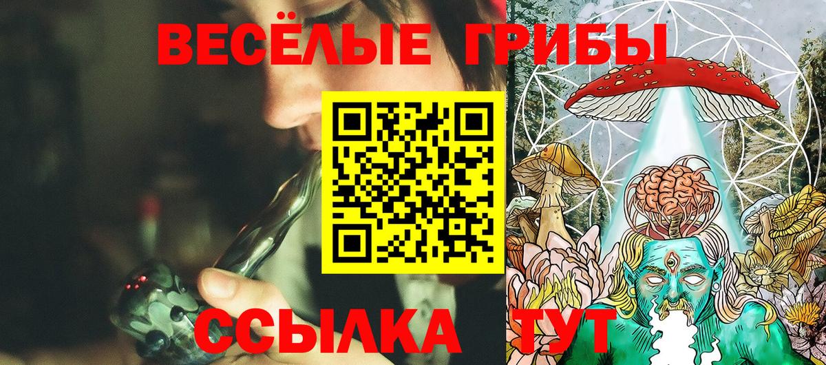 Псилоцибиновые грибы Psilocybe  Псилоцибиновые грибы Psilocybe  Владивосток  Вход с VPN 